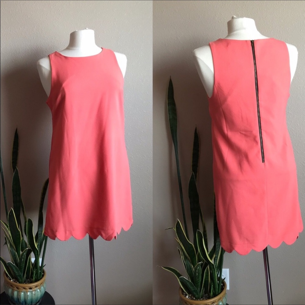 NWT- Sophia+Zeke Dress -M